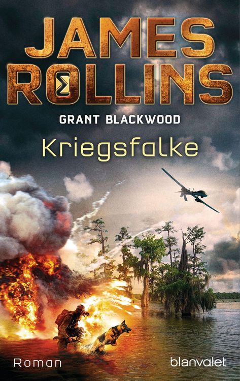 Produktbild: Kriegsfalke