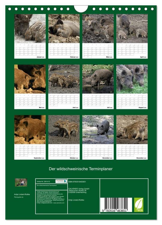 Produktbild: Der wildschweinische Terminplaner (Wandkalender 2026 DIN A4 hoch), CALVENDO Monatskalender