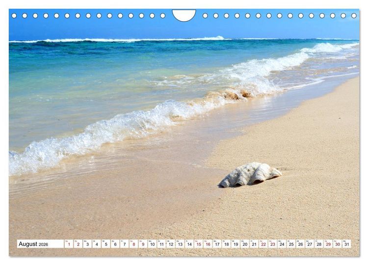 Produktbild: Rarotonga - Trauminsel im S&uuml;dpazifik. (Wandkalender 2026 DIN A4 quer), CALVENDO Monatskalender