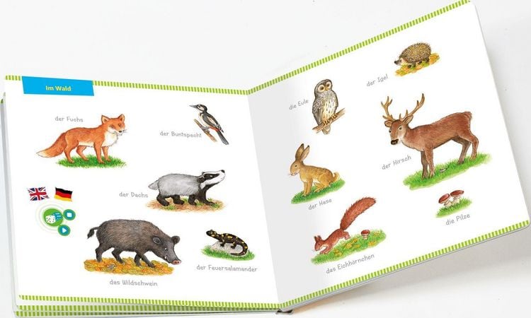 Produktbild: BOOKii&reg; Mein Bildw&ouml;rter-Buch Tiere