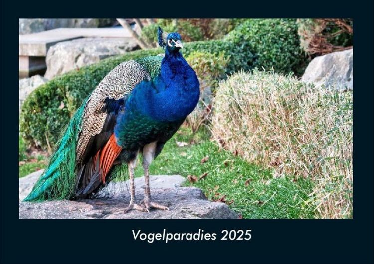 Produktbild: Vogelparadies 2025 Fotokalender DIN A4