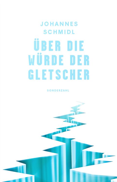 Produktbild: &Uuml;ber die W&uuml;rde der Gletscher