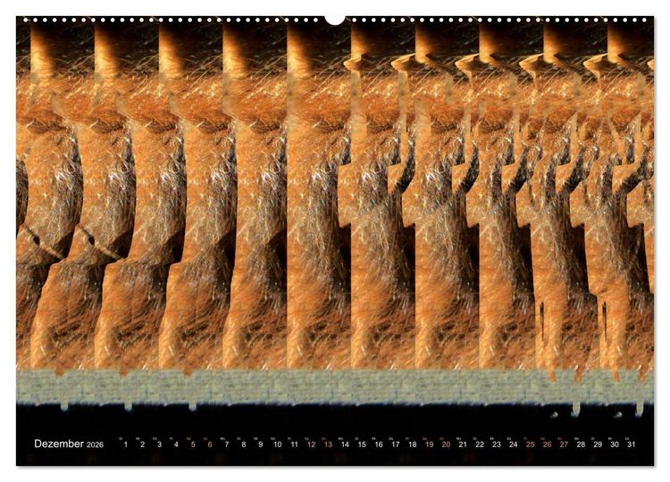 Produktbild: Magische Bilder - 3D Stereogramme (Wandkalender 2026 DIN A2 quer), CALVENDO Monatskalender
