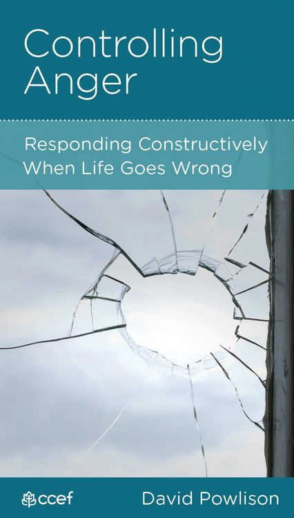 Produktbild: Controlling Anger