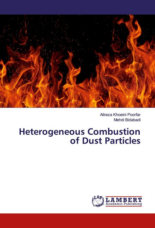 Produktbild: Heterogeneous Combustion of Dust Particles