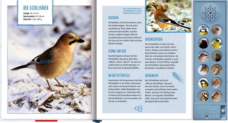 Produktbild: V&ouml;gel im Winter bei dir zu Gast