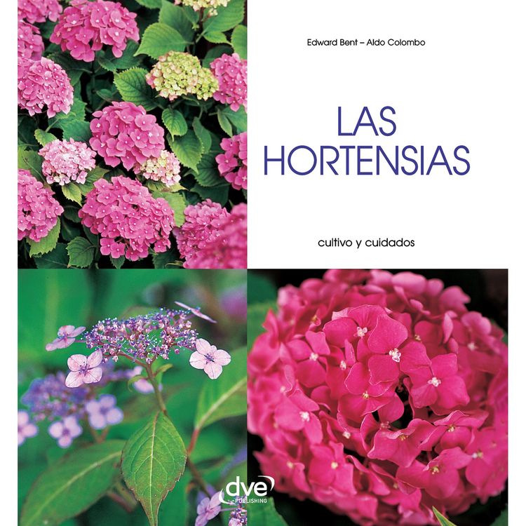 Produktbild: Las hortensias - Cultivo y cuidados