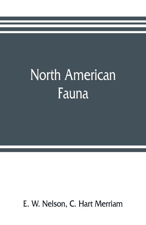 Produktbild: North American Fauna