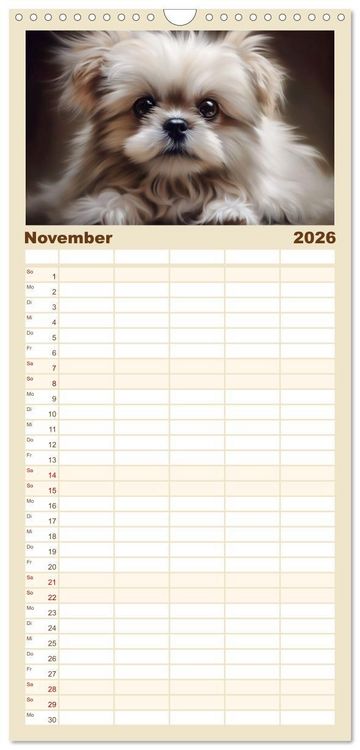 Produktbild: Familienplaner 2026 - Zauberhafte Fluffies mit 5 Spalten (Wandkalender, 21 x 45 cm) CALVENDO