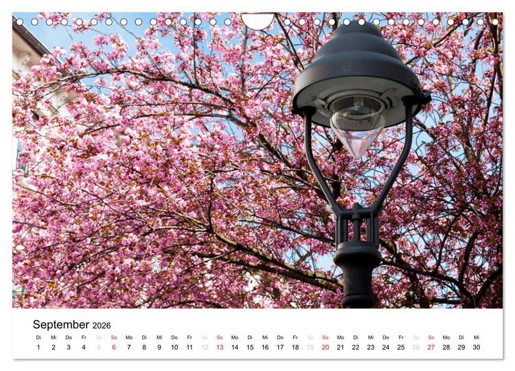 Produktbild: Bonn - Kirschbl&uuml;tenfest in der Altstadt (Wandkalender 2026 DIN A4 quer), CALVENDO Monatskalender