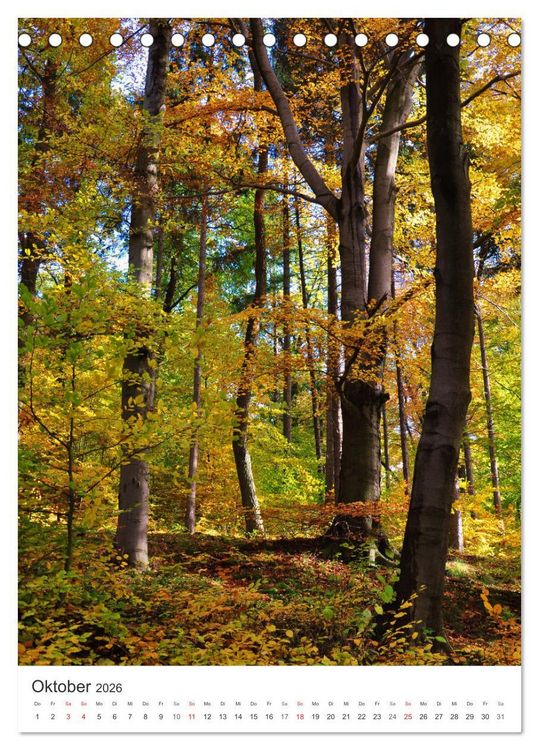 Produktbild: Faszination der Farben im Naturpark Lappwald (Tischkalender 2026 DIN A5 hoch), CALVENDO Monatskalender
