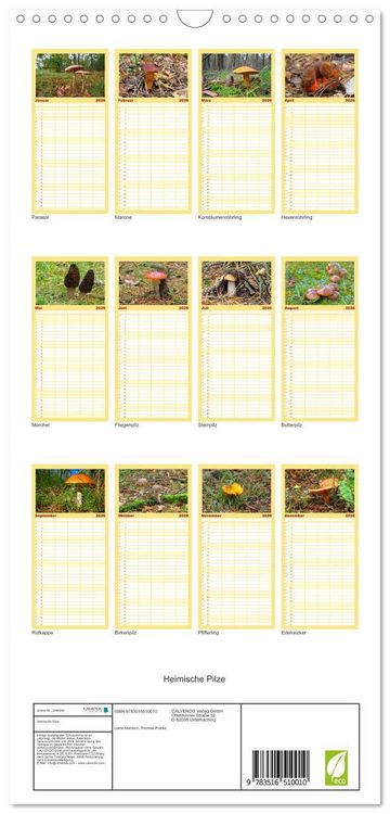 Produktbild: Familienplaner 2026 - Heimische Pilze mit 5 Spalten (Wandkalender, 21 x 45 cm) CALVENDO