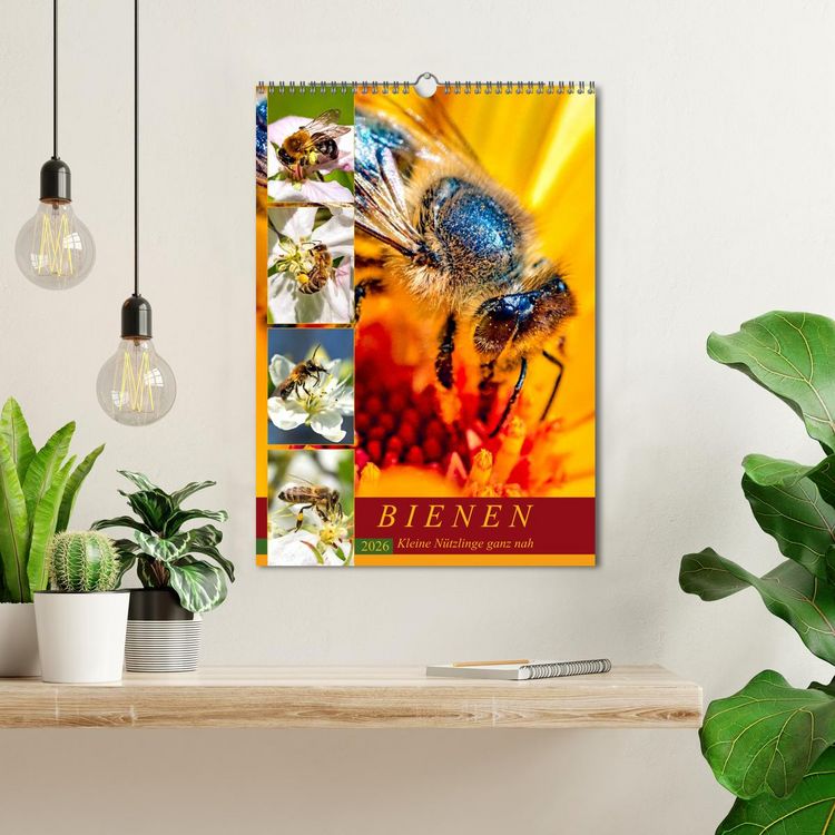 Produktbild: BIENEN - Kleine N&uuml;tzlinge ganz nah (Wandkalender 2026 DIN A3 hoch), CALVENDO Monatskalender