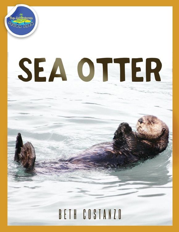 Produktbild: Sea Otter ages 2-4