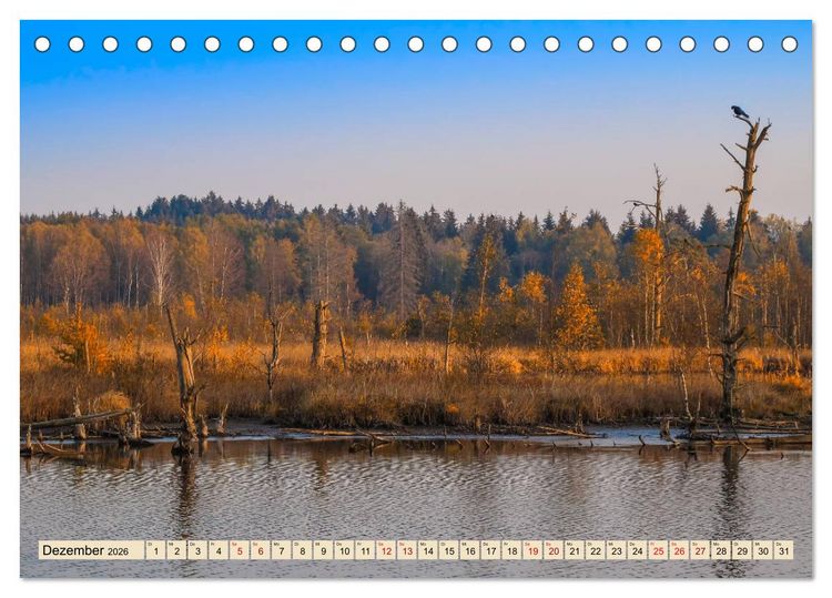 Produktbild: Herbst im Schwenninger Moos (Tischkalender 2026 DIN A5 quer), CALVENDO Monatskalender