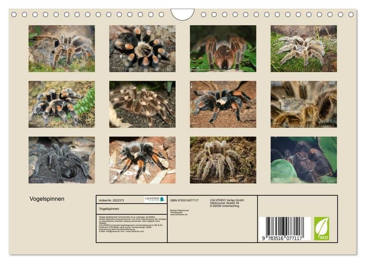 Produktbild: Vogelspinnen (Wandkalender 2026 DIN A4 quer), CALVENDO Monatskalender