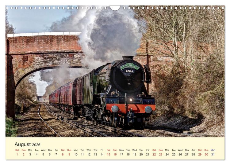 Produktbild: Steam Landscape (Wall Calendar 2026 DIN A3 landscape), CALVENDO 12 Month Wall Calendar