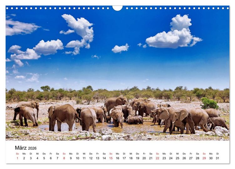 Produktbild: Namibias Elefanten (Wandkalender 2026 DIN A3 quer), CALVENDO Monatskalender
