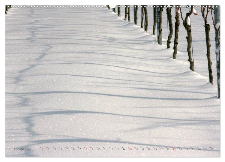 Produktbild: Im Baden-Badener Rebland 2026 (Wandkalender 2026 DIN A2 quer), CALVENDO Monatskalender