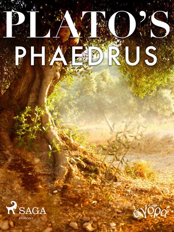 Produktbild: Plato's Phaedrus