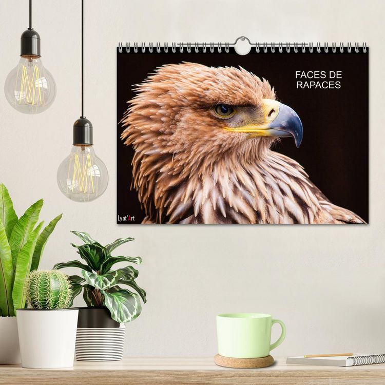 Produktbild: FACES DE RAPACES (Calendrier mural 2026 DIN A4 vertical), CALVENDO calendrier mensuel