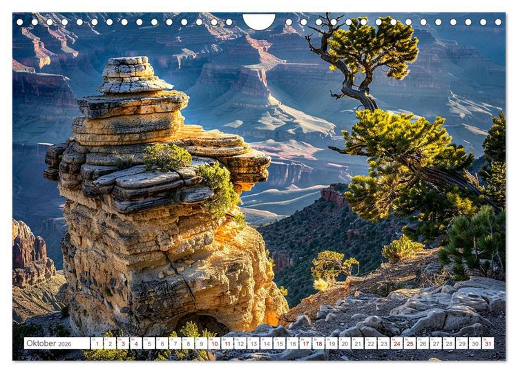 Produktbild: Formen und Farben der Natur (Wandkalender 2026 DIN A4 quer), CALVENDO Monatskalender