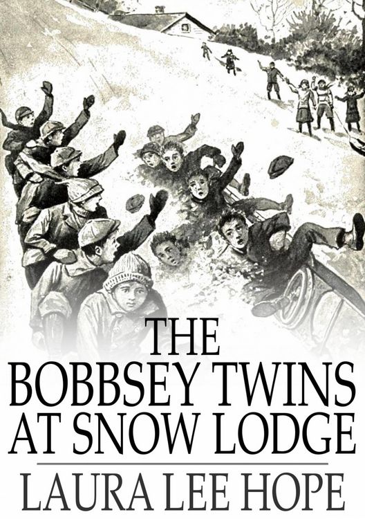 Produktbild: Bobbsey Twins at Snow Lodge