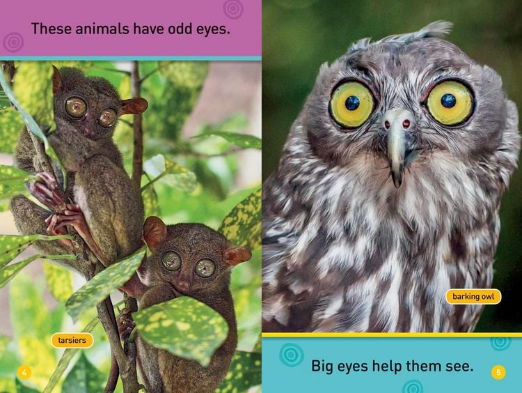 Produktbild: Odd Animals (National Geographic Kids Readers, Pre-Reader)
