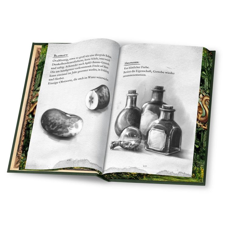 Produktbild: Die Pforten von Lopahr: Magie und Mythos