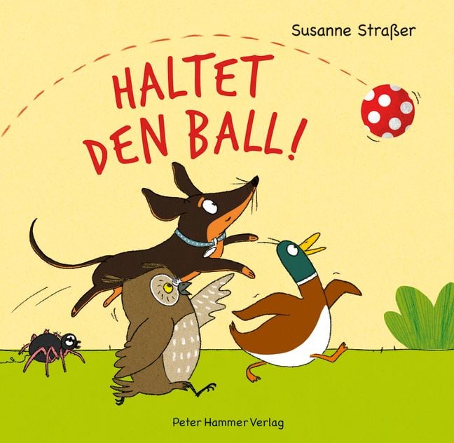 Produktbild: Haltet den Ball!