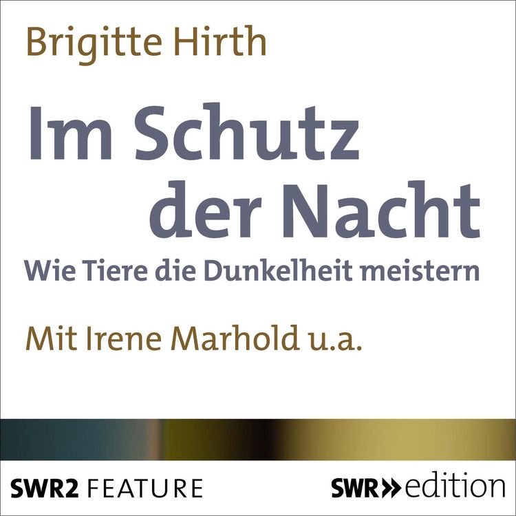 Produktbild: Im Schutz der Nacht