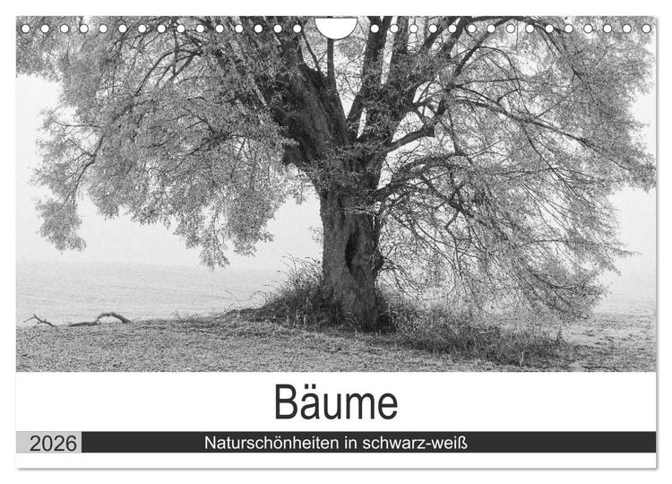 Produktbild: B&auml;ume - Natursch&ouml;nheiten in schwarz-wei&szlig; (Wandkalender 2026 DIN A4 quer), CALVENDO Monatskalender