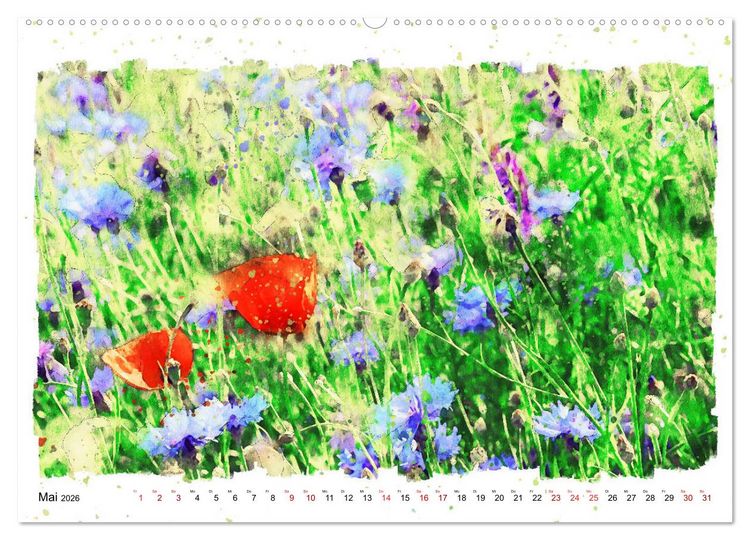 Produktbild: Mohnbl&uuml;ten in Aquarell (hochwertiger Premium Wandkalender 2026 DIN A2 quer), Kunstdruck in Hochglanz