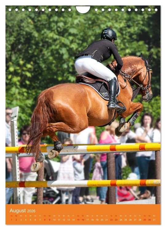 Produktbild: Springreiter in Aktion (Wandkalender 2026 DIN A4 hoch), CALVENDO Monatskalender