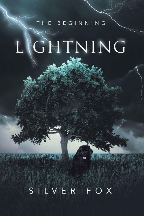 Produktbild: Lightning