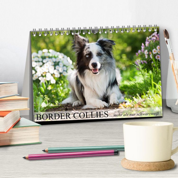 Produktbild: Border Collies - nicht nur schwarzwei&szlig; (Tischkalender 2026 DIN A5 quer), CALVENDO Monatskalender