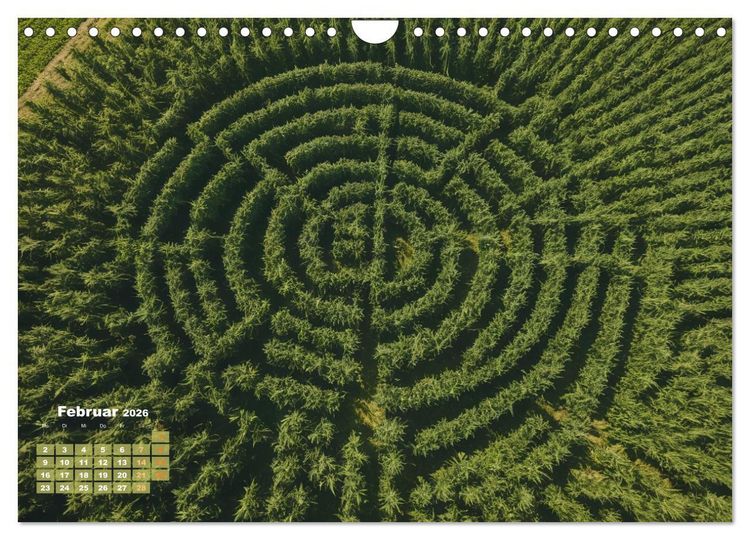 Produktbild: Wundersch&ouml;ne Cannabisfelder (Wandkalender 2026 DIN A4 quer), CALVENDO Monatskalender