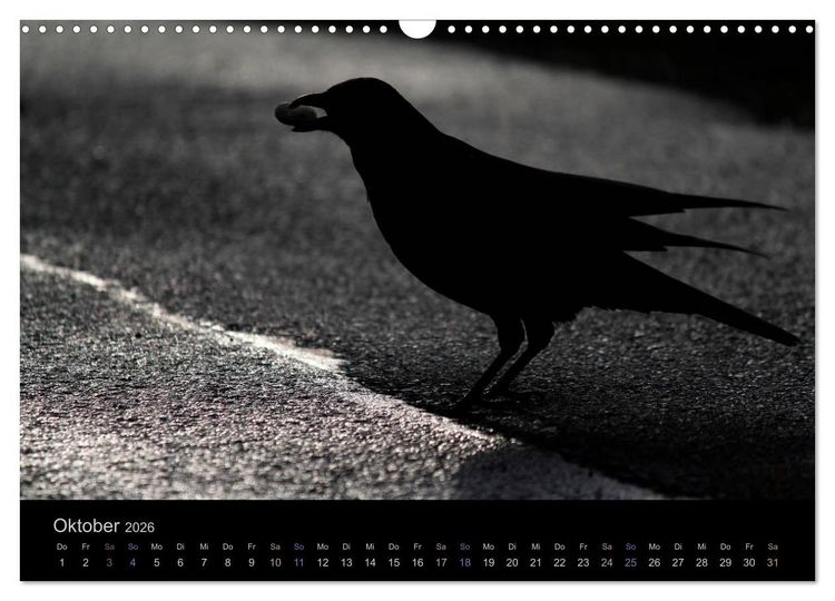 Produktbild: Rabenschwarze Impressionen - meike-ajo-dettlaff.de via wildvogelhlfe.org (Wandkalender 2026 DIN A3 quer), CALVENDO Monatskalender