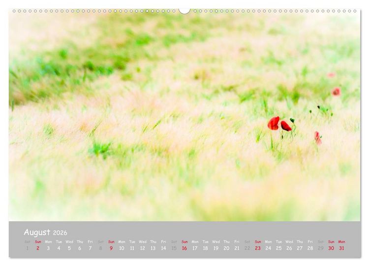 Produktbild: Poppy Love (High Quality Premium Wall Calendar 2026 DIN A2 landscape),CALVENDO 12 Month Wall Calendar
