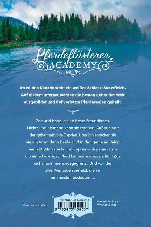 Produktbild: Pferdefl&uuml;sterer-Academy, Band 4: Verletztes Vertrauen