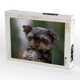 Produktbild: CALVENDO Puzzle Yorkshire-Terrier Welpe | 1000 Teile Lege-Gr&ouml;&szlig;e 64x48cm Foto-Puzzle f&uuml;r gl&uuml;ckliche Stunden