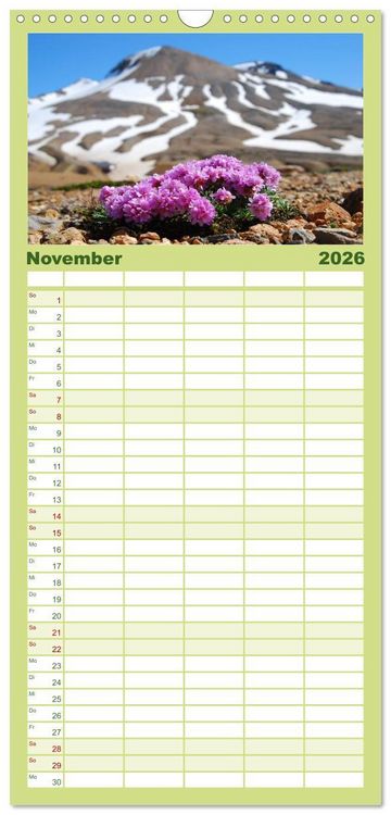 Produktbild: Familienplaner 2026 - Das ist ISLAND mit 5 Spalten (Wandkalender, 21 x 45 cm) CALVENDO