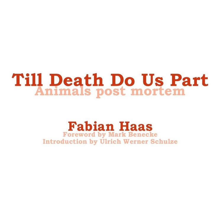 Produktbild: Till Death Do Us Part