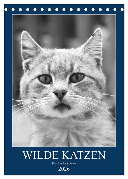 Produktbild: Wilde Katzen - Korsikas Samtpfoten (Tischkalender 2026 DIN A5 hoch), CALVENDO Monatskalender