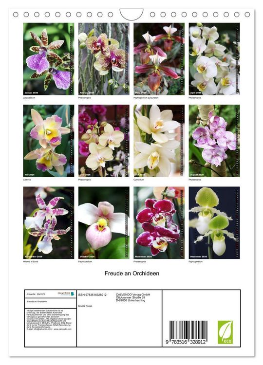 Produktbild: Freude an Orchideen (Wandkalender 2026 DIN A4 hoch), CALVENDO Monatskalender