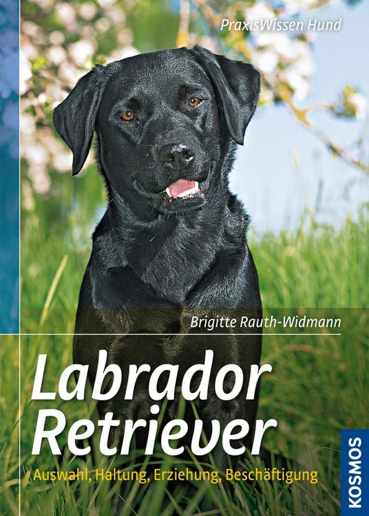 Produktbild: Labrador Retriever