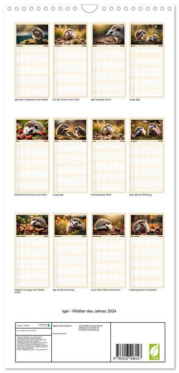 Produktbild: Familienplaner 2026 - Igel - Wildtier des Jahres 2024 mit 5 Spalten (Wandkalender, 21 x 45 cm) CALVENDO