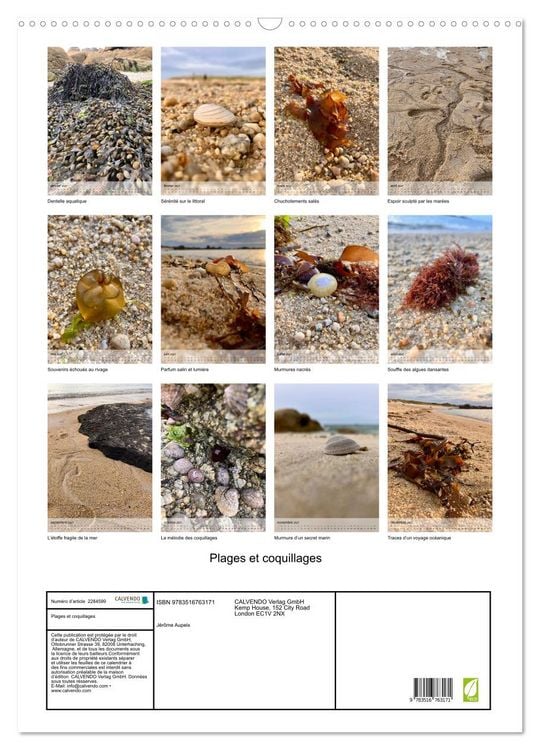 Produktbild: Plages et coquillages (Calendrier mural 2027 DIN A2 horizontal), CALVENDO calendrier mensuel