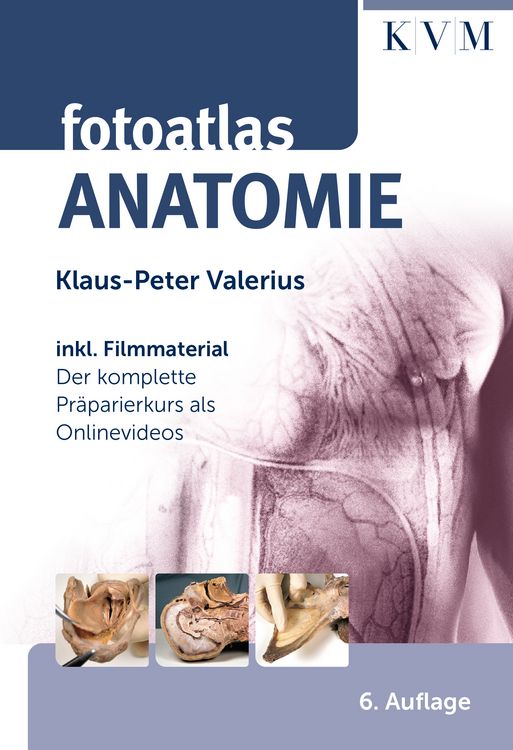 Produktbild: Fotoatlas Anatomie