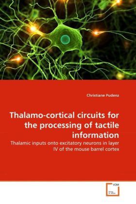 Produktbild: Pudenz, C: Thalamo-cortical circuits for the processing of t